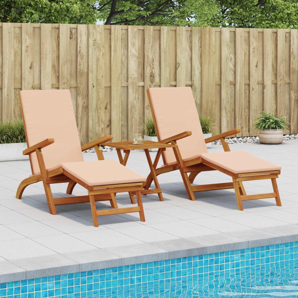 vidaXL Reclining och Fällbar Solstol 2 pcs 55 x 146 x 91 cm
