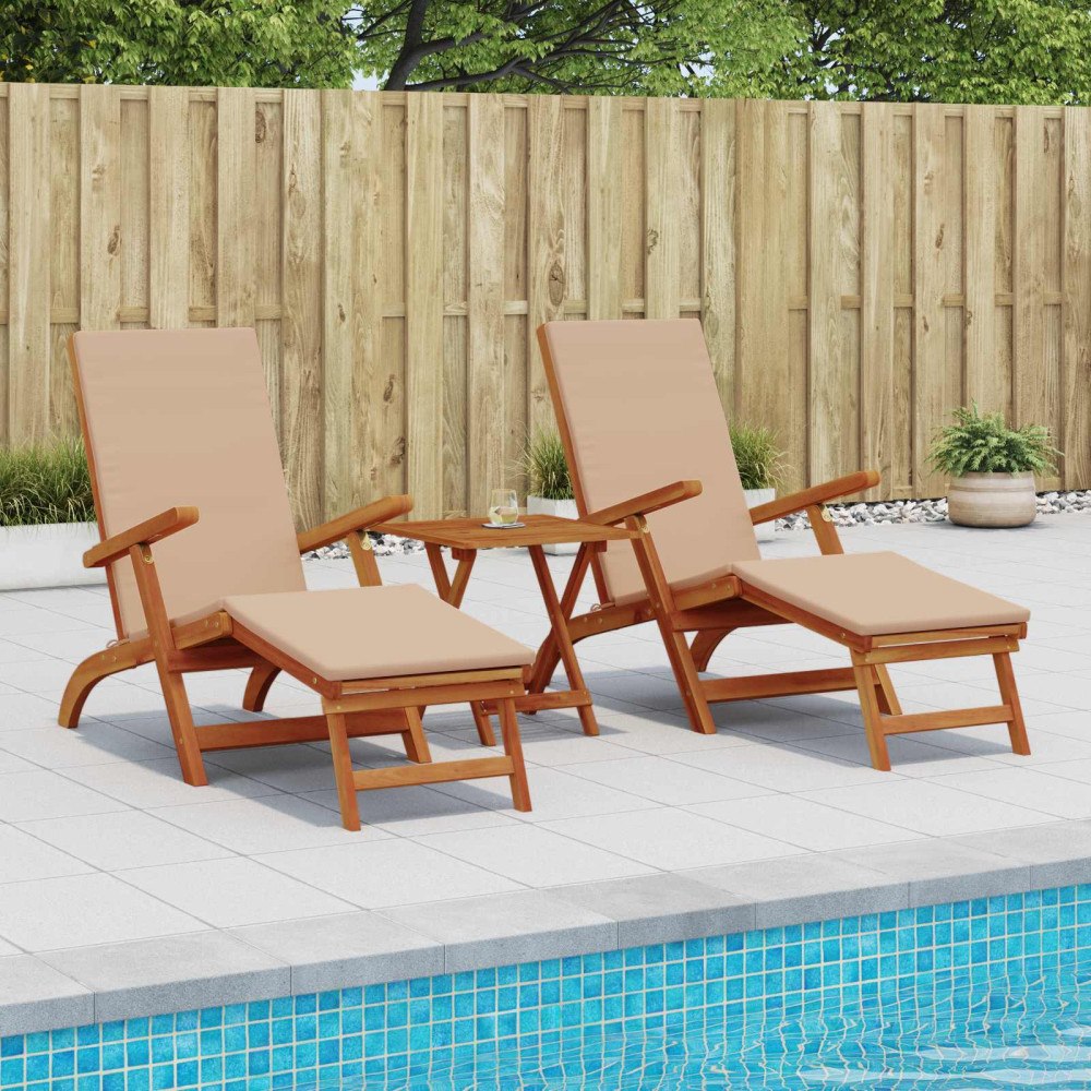 vidaXL Reclining och Fällbar Solstol 2 pcs 55 x 146 x 91 cm