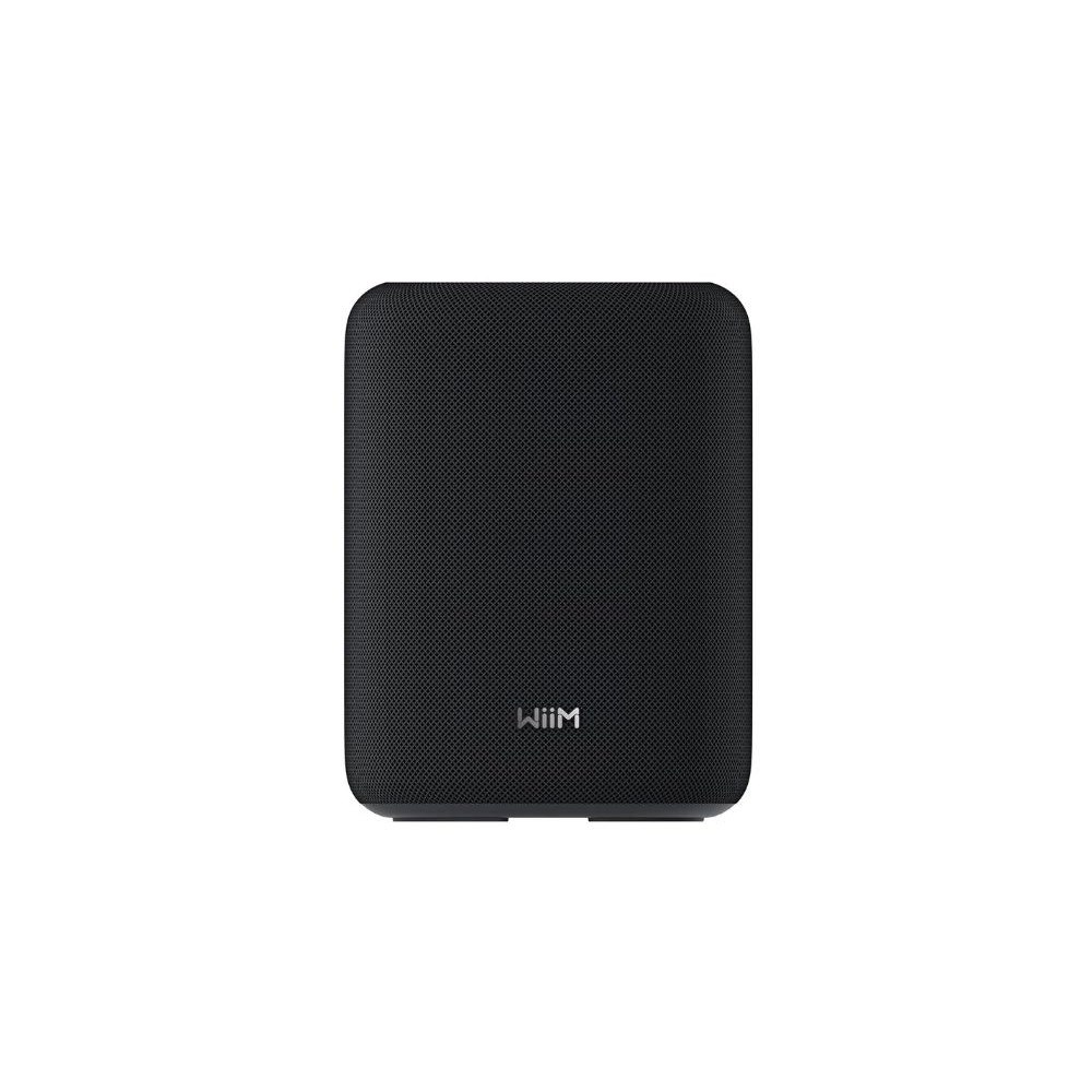 Assorteret WiiM Sound Lite