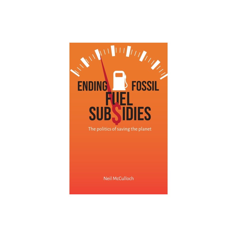 Practical Action Publishing Ending Fossil Fuel Subsidies (häftad, eng)