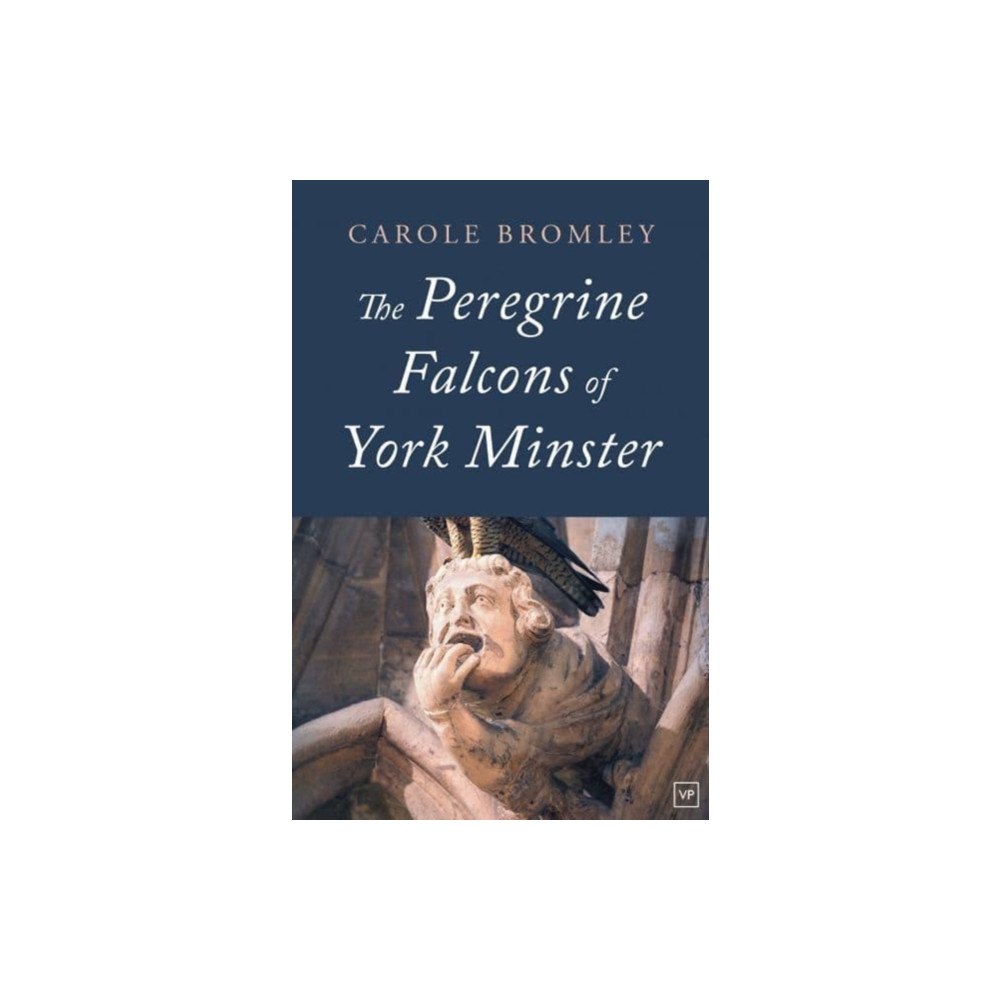 Valley Press The Peregrine Falcons of York Minster (häftad, eng)