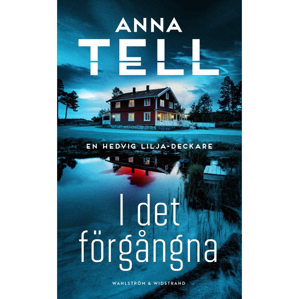 Anna Tell I det förgångna (pocket)