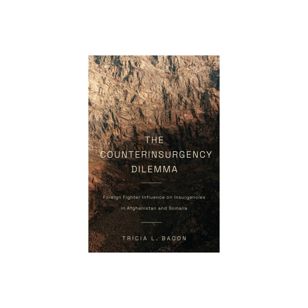Stanford university press The Counterinsurgency Dilemma (inbunden, eng)