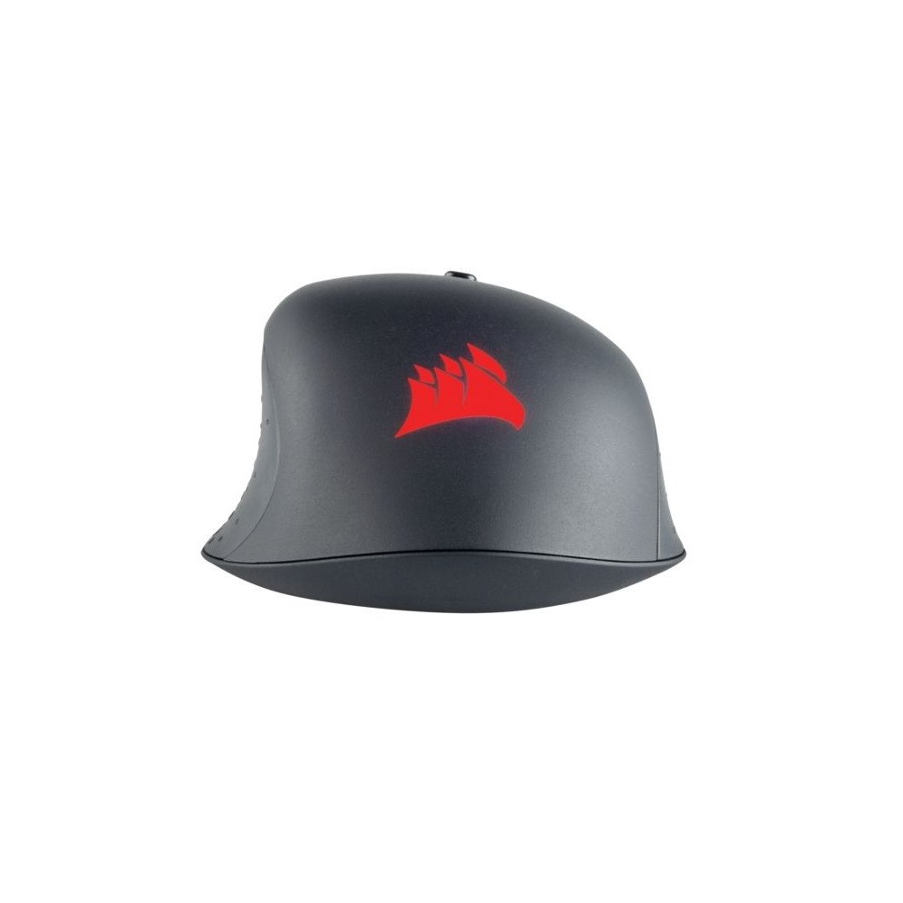 Corsair Microsystems CORSAIR Gaming HARPOON RGB PRO FPS/MOBA