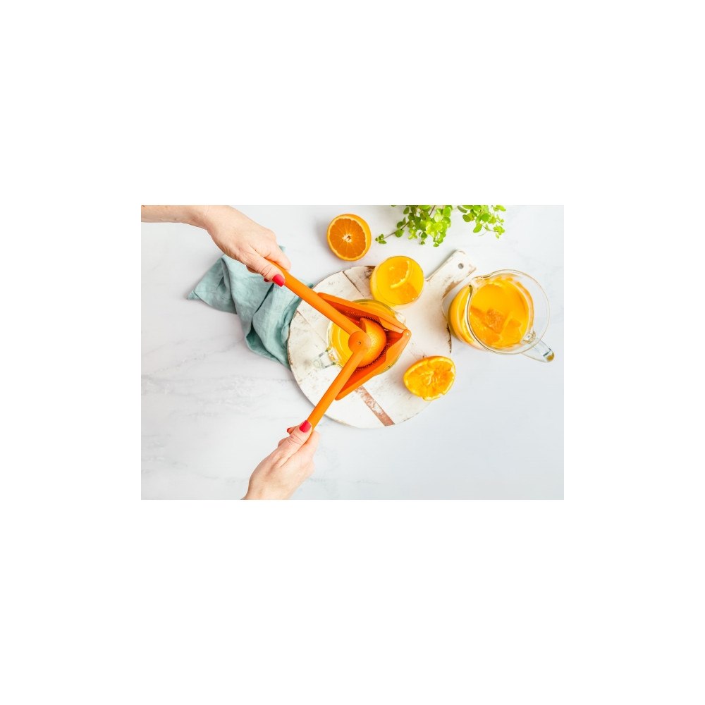 Dreamfarm Dreamfarm -Fluicer