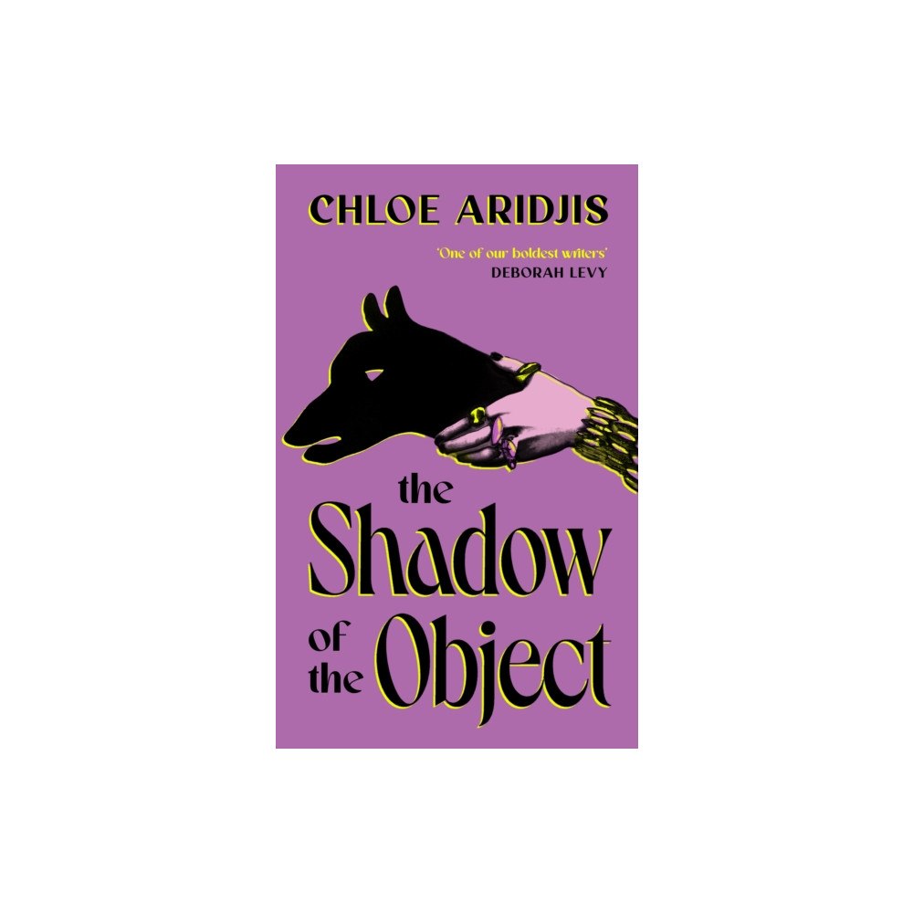 Vintage Publishing The Shadow of the Object (inbunden, eng)