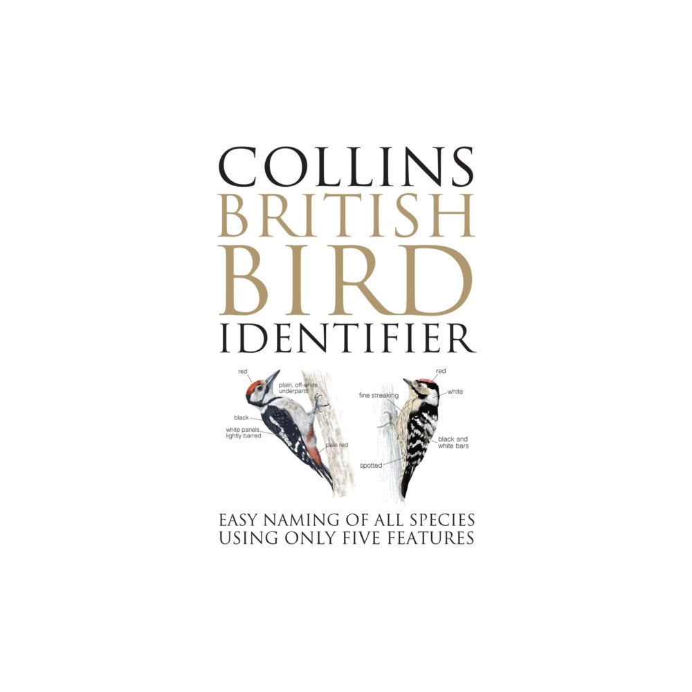 HarperCollins Publishers Collins British Bird Identifier (inbunden, eng)