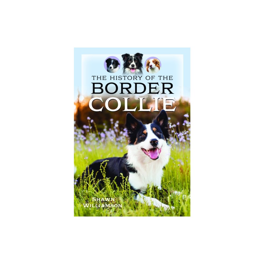 Pen & Sword Books Ltd The History of the Border Collie (inbunden, eng)