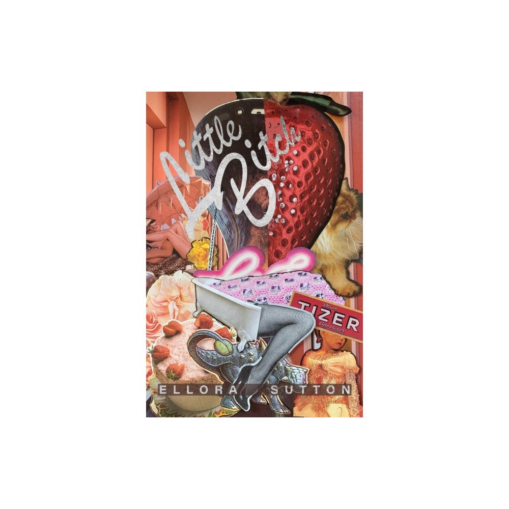 Verve Poetry Press Little Bitch (häftad, eng)