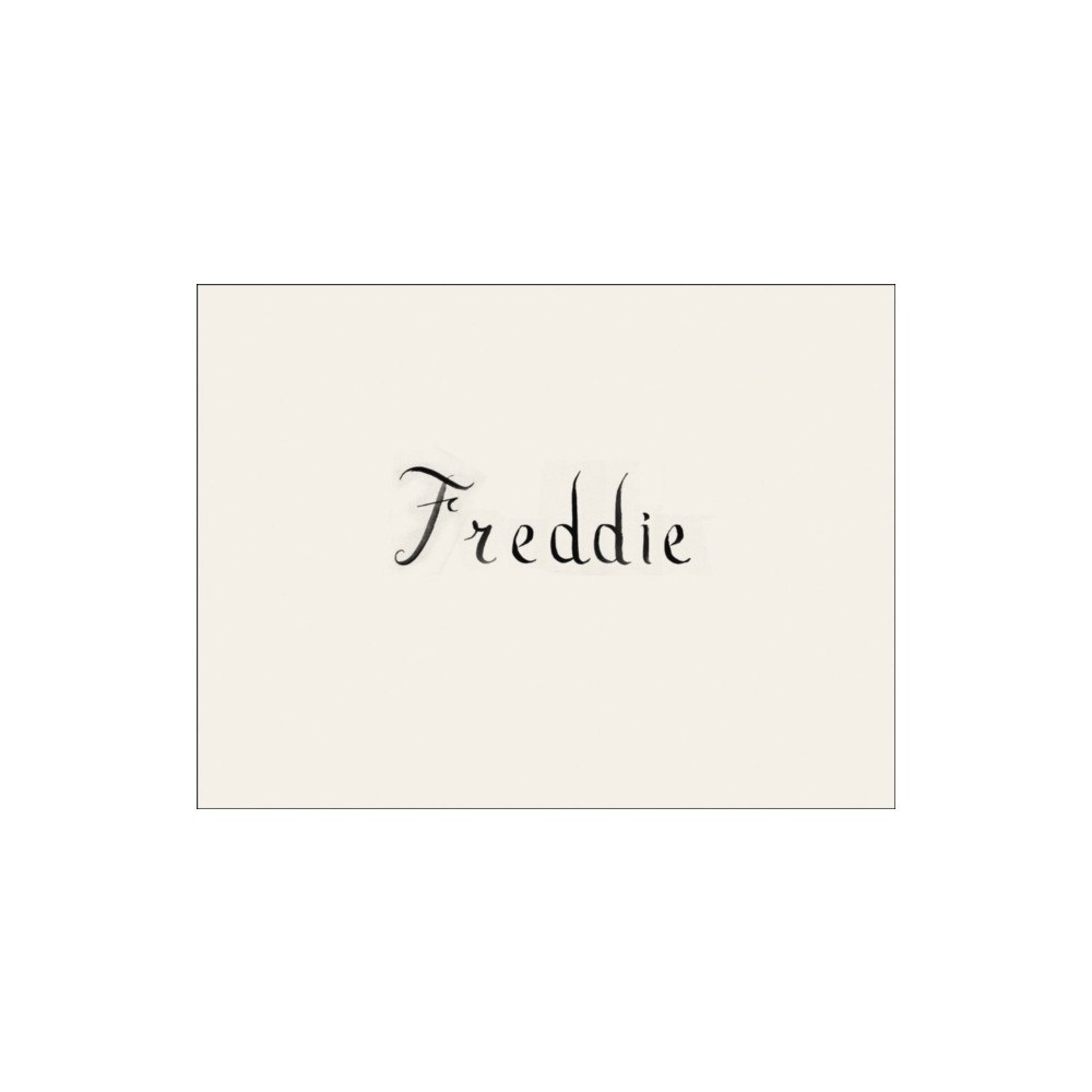 Magic Hour Press Rory Mulligan: Freddie (inbunden, eng)