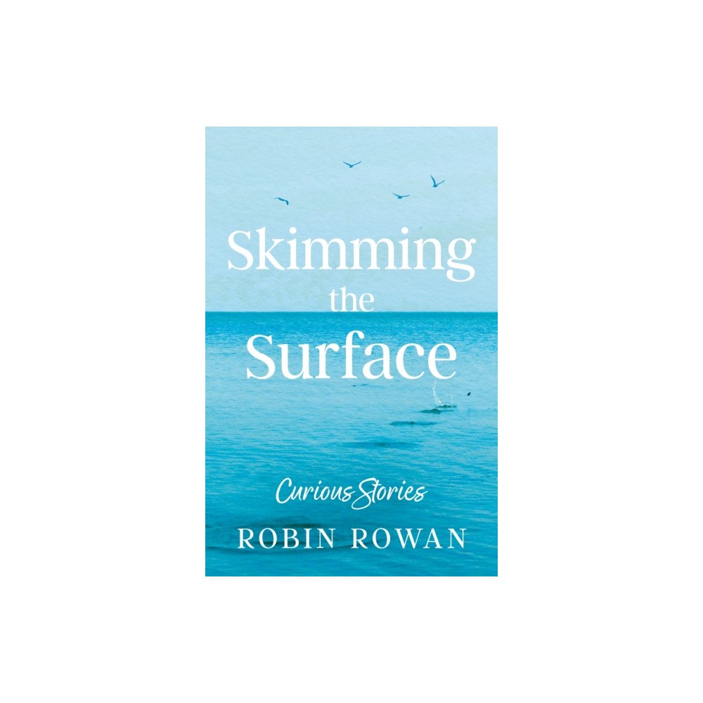 Troubador Publishing Skimming the Surface (häftad, eng)