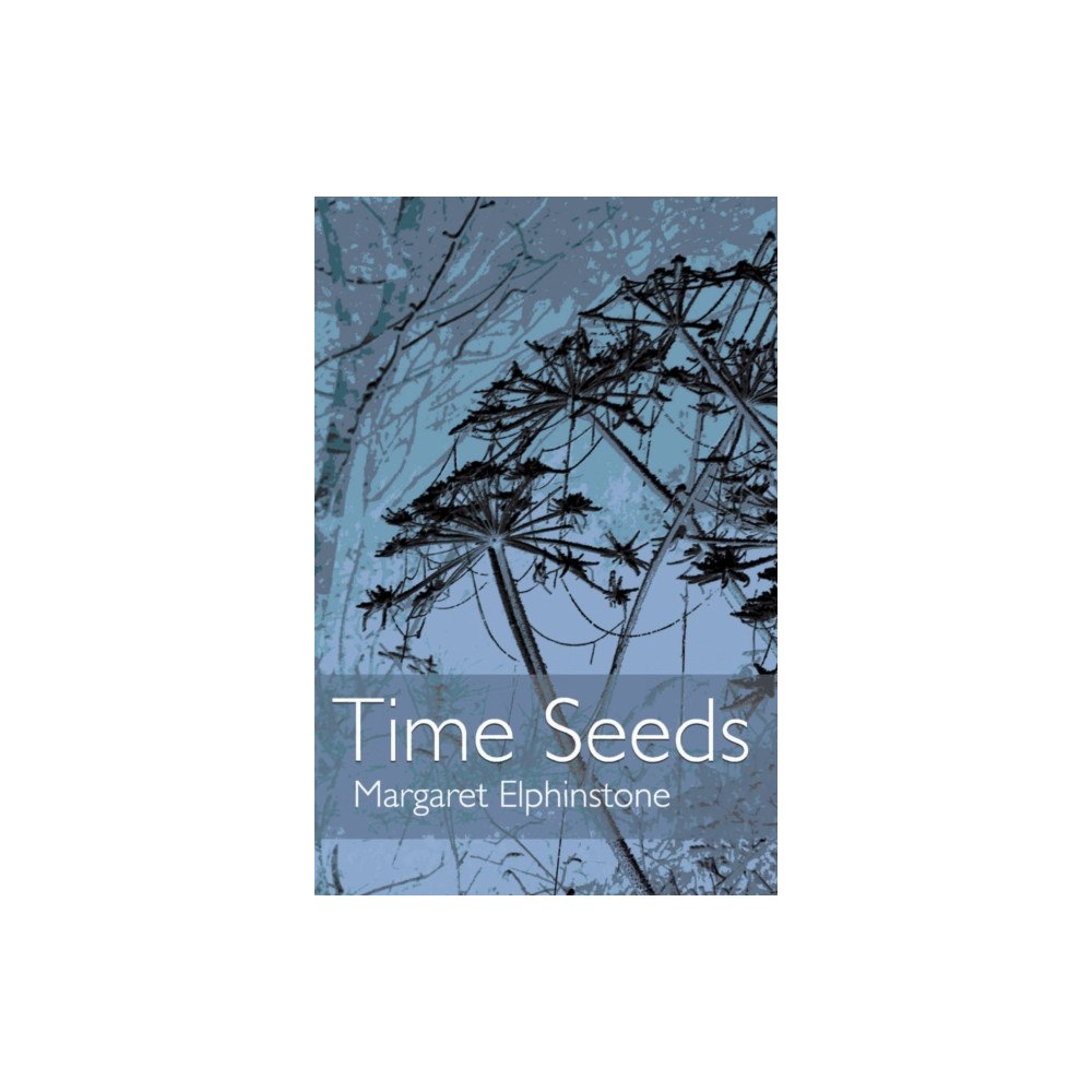 Wild Goose Publications Time Seeds (häftad, eng)