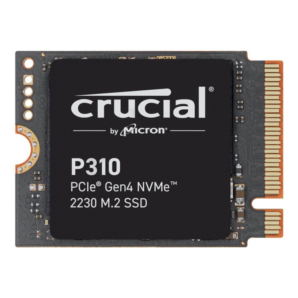 Crucial Crucial P310