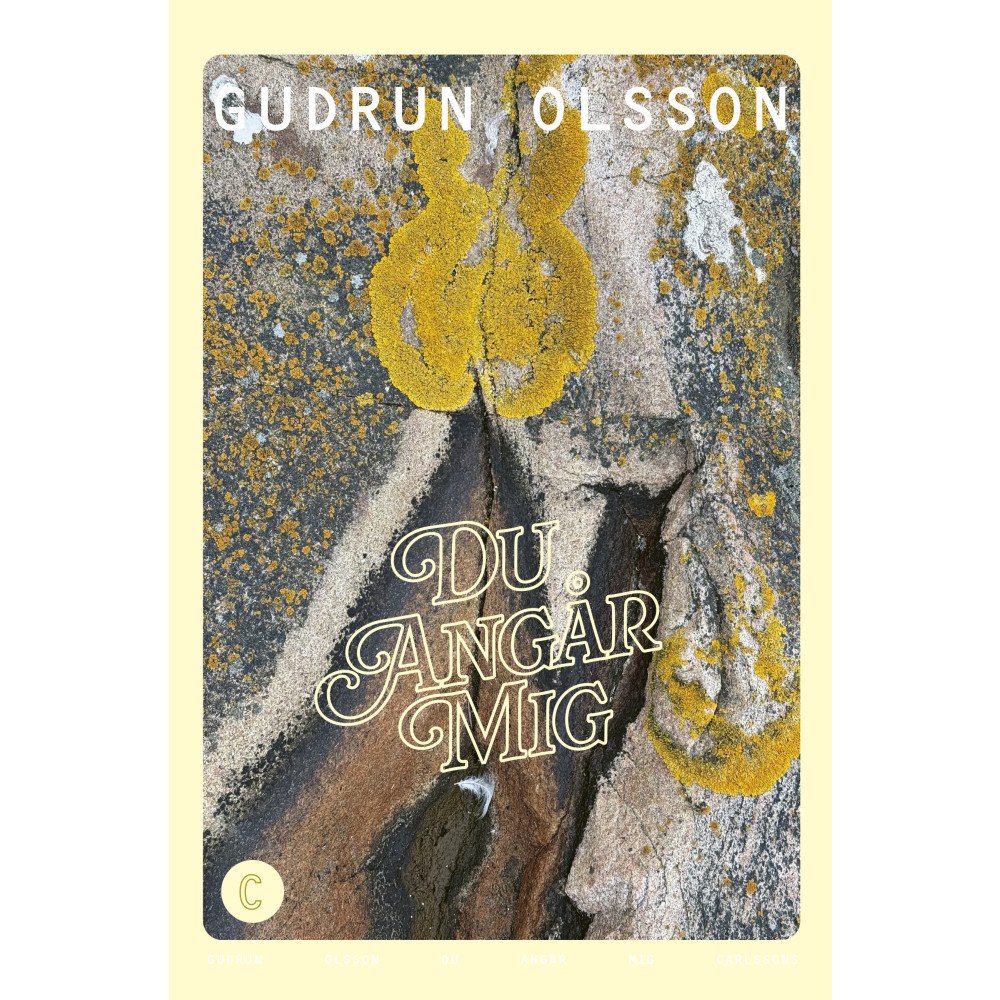 Gudrun Olsson Du angår mig (inbunden)