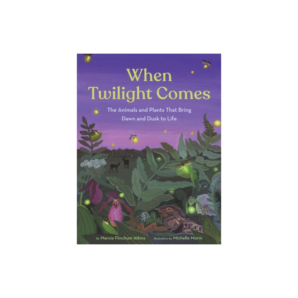 Chronicle Books When Twilight Comes (inbunden, eng)