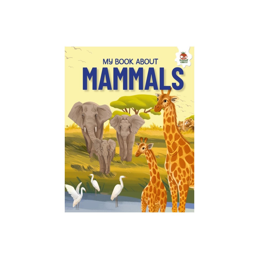 Hungry Tomato Ltd Young Adventurers: My Book About Mammals (häftad, eng)