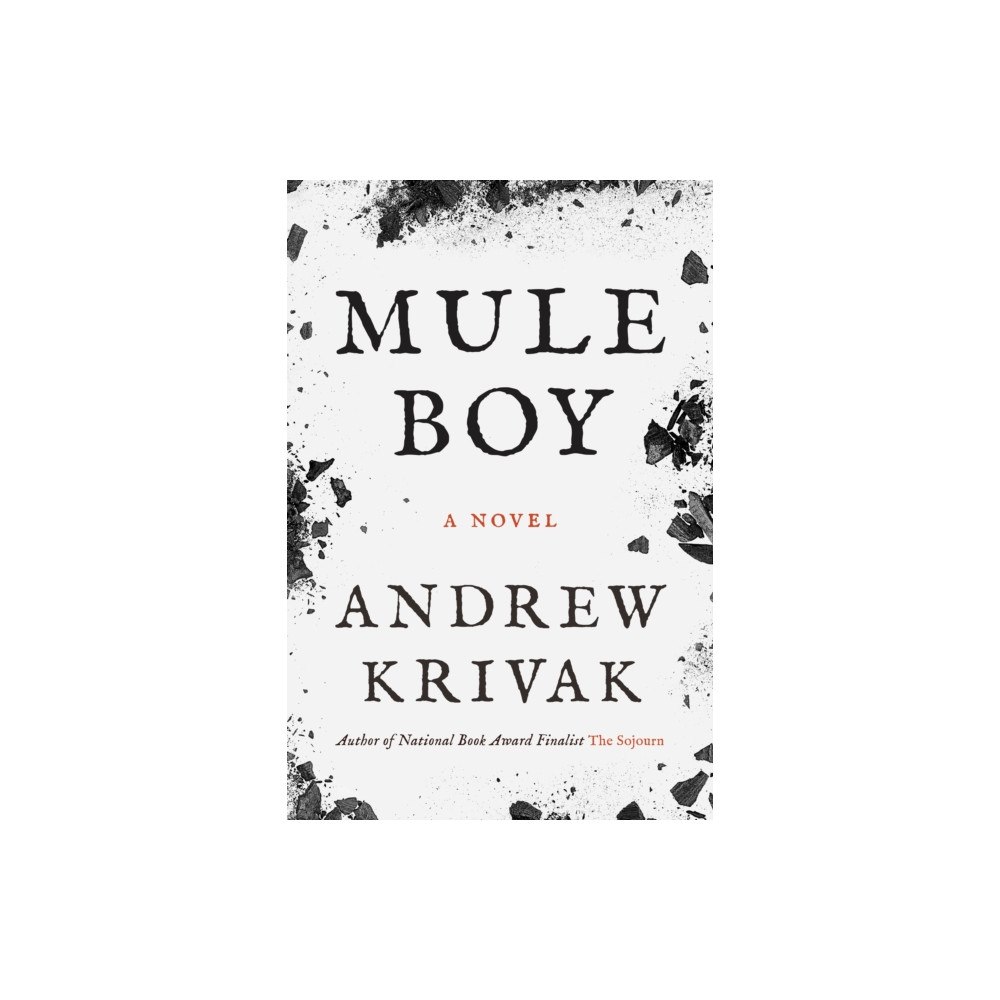 Bellevue Literary Press Mule Boy (häftad, eng)