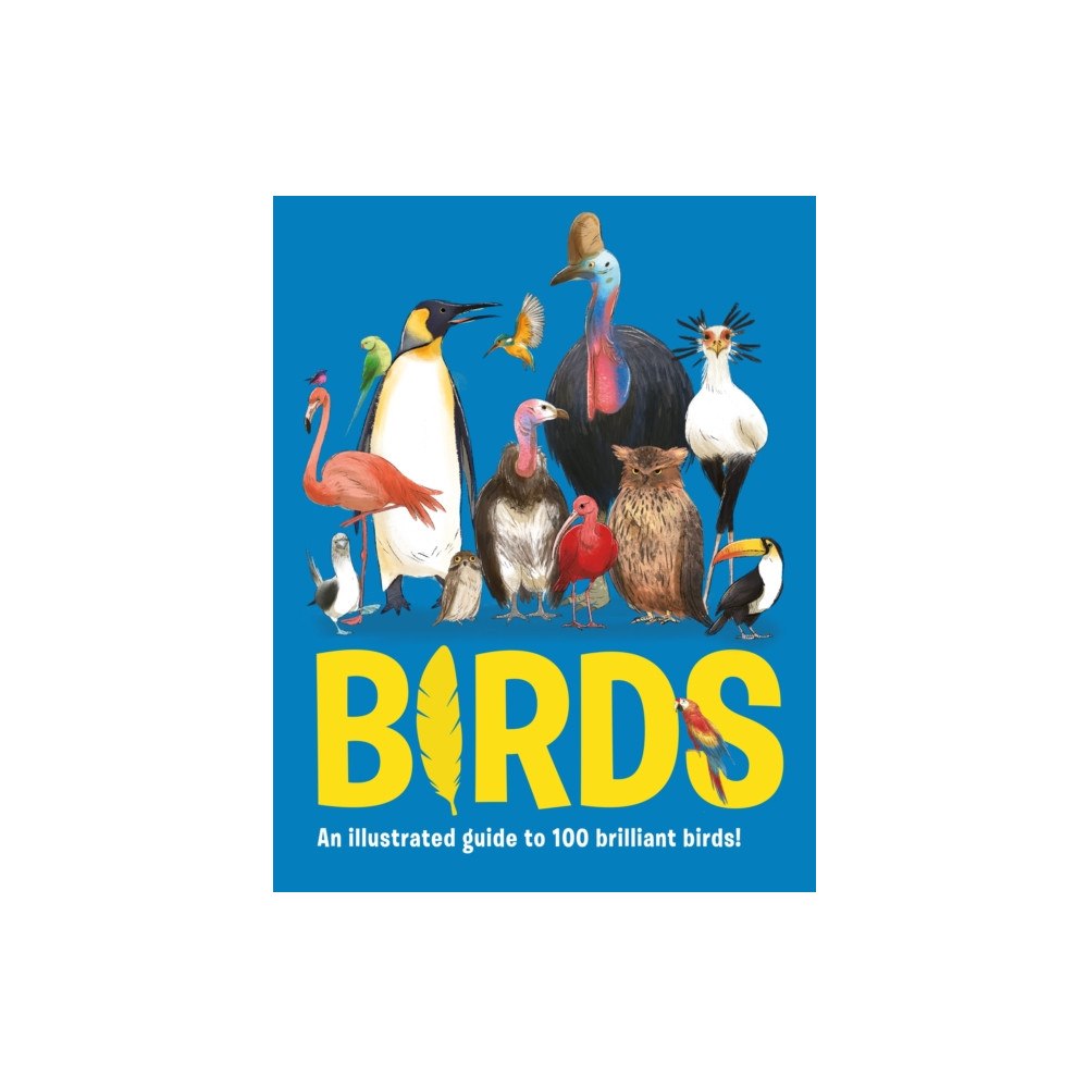 Hungry Tomato Ltd Birds (inbunden, eng)