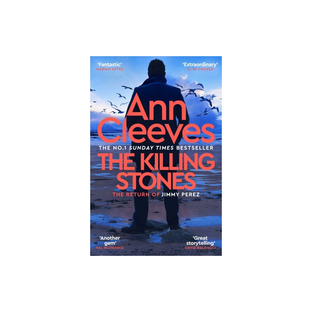 Pan Macmillan The Killing Stones (häftad, eng)