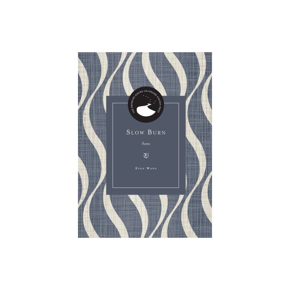 Northwestern university press Slow Burn (häftad, eng)