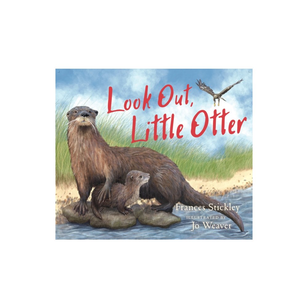 Birlinn General Look Out, Little Otter (häftad, eng)