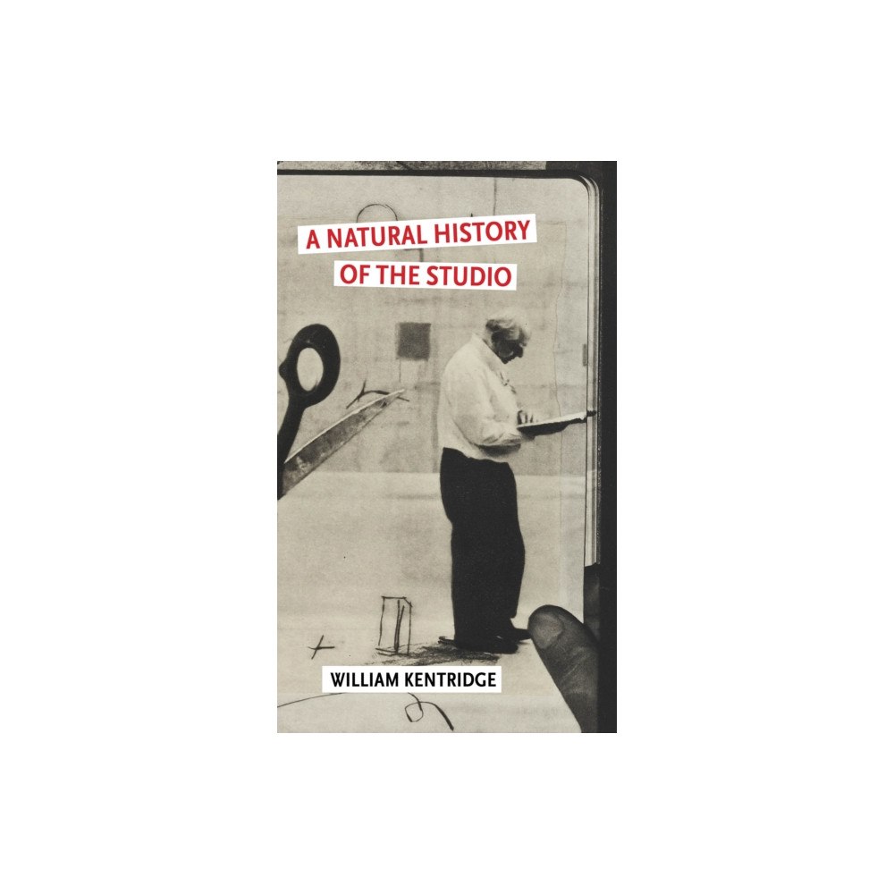 Atlantic Books A Natural History of the Studio (häftad, eng)
