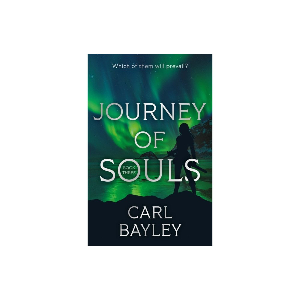 Troubador Publishing Journey of Souls (häftad, eng)