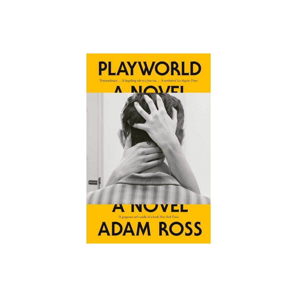 Adam Ross Playworld (häftad, eng)