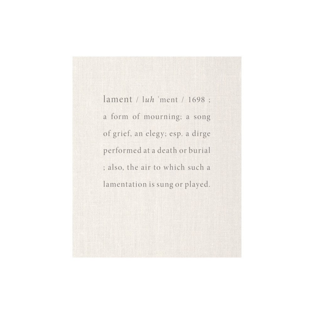 Radius Books Linda Foard Roberts: Lament | A Photographic Journey Through Race, History, and Memory in the American South (inbunden,...