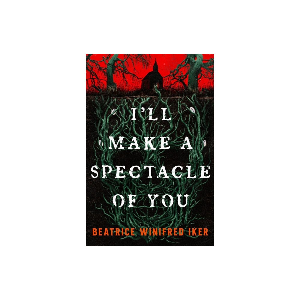 Little, Brown & Company I'll Make A Spectacle of You (häftad, eng)