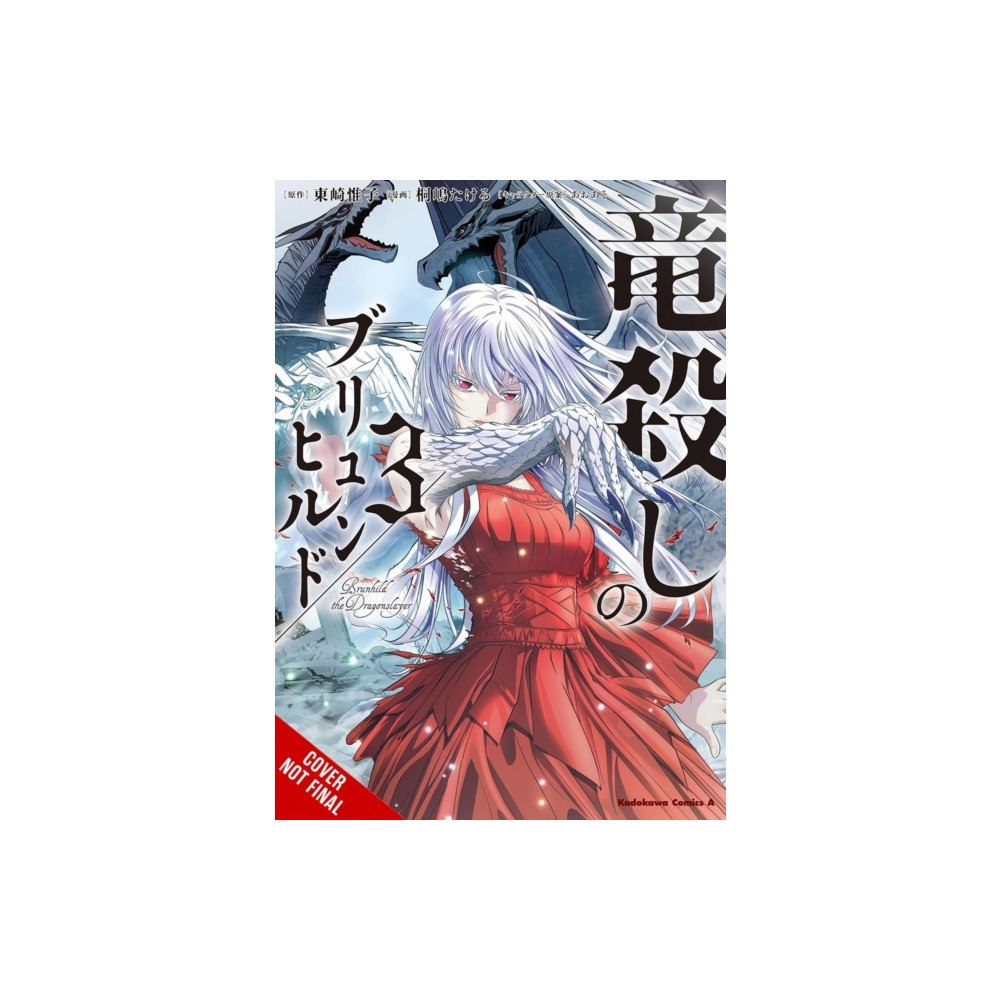 Little, Brown & Company Brunhild the Dragonslayer, Vol. 3 (manga) (häftad, eng)