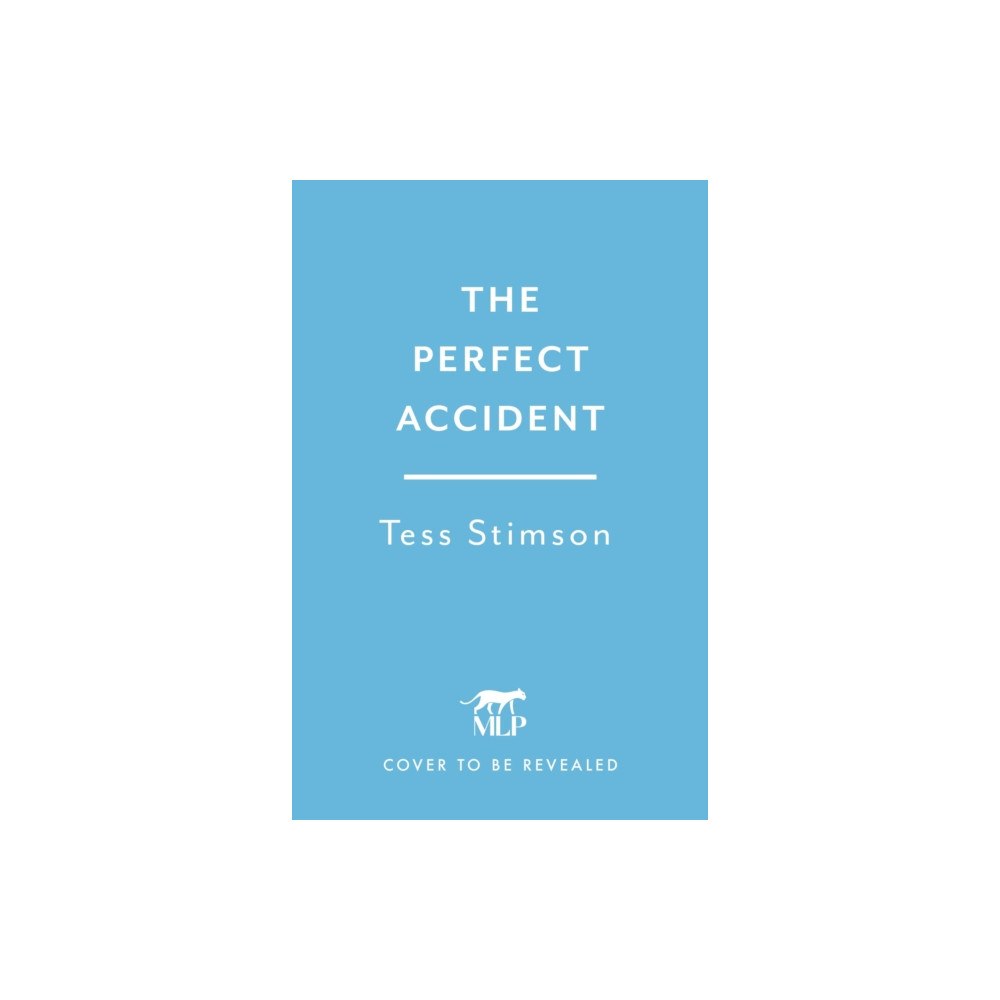 Headline Publishing Group The Perfect Accident (häftad, eng)