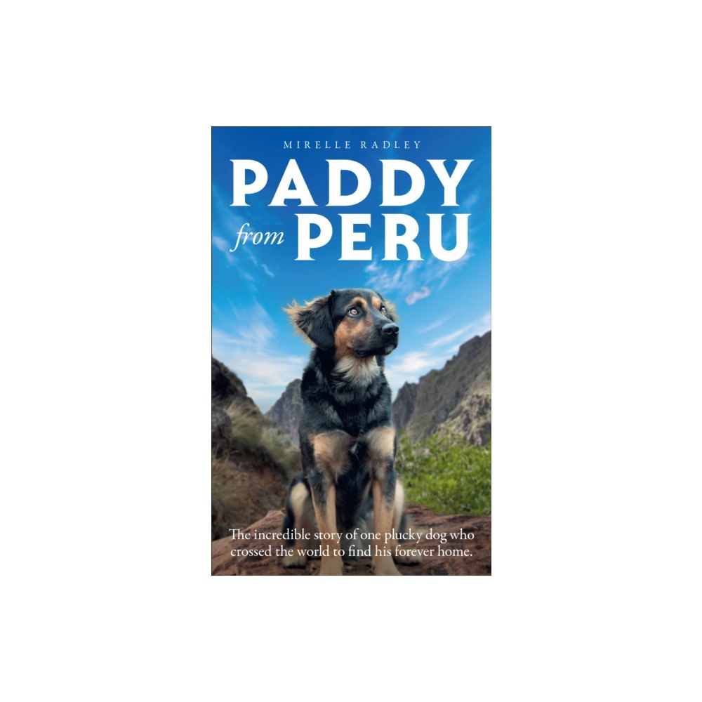 HarperCollins Publishers Paddy from Peru (inbunden, eng)