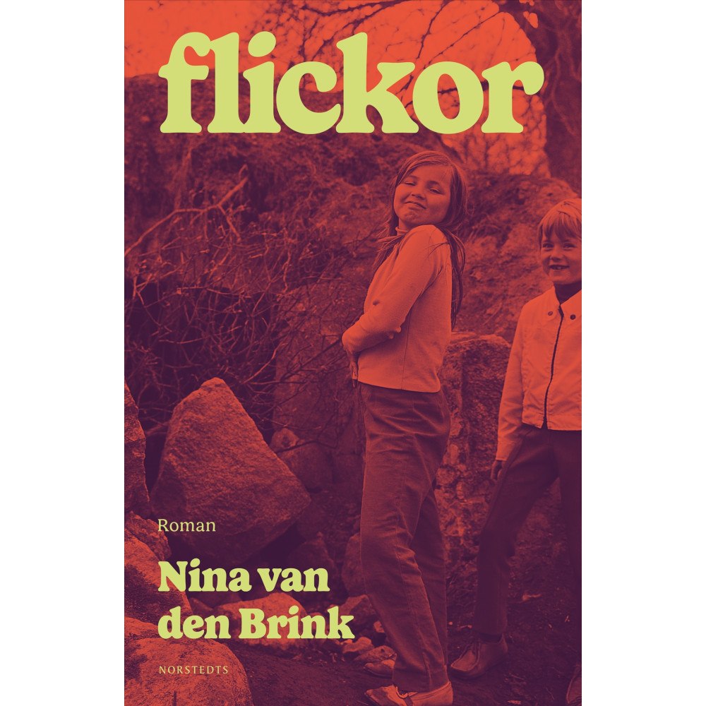 Nina van den Brink Flickor (inbunden)