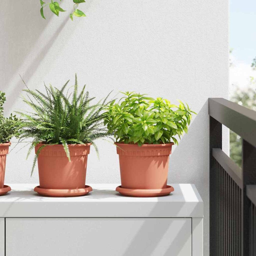 vidaXL Rund Blomkruka 6 pcs Murgrön Ø 14 x 2 cm Plast