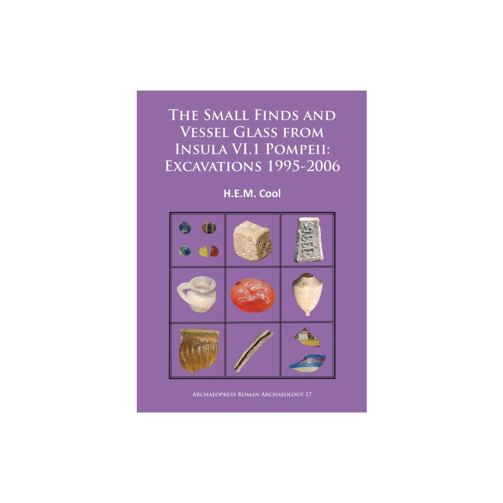 Archaeopress The Small Finds and Vessel Glass from Insula VI.1 Pompeii: Excavations 1995-2006 (häftad, eng)