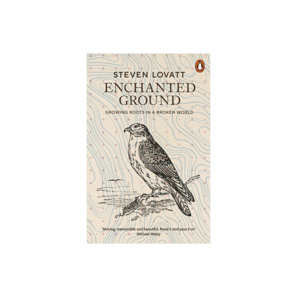 Penguin books ltd Enchanted Ground (häftad, eng)