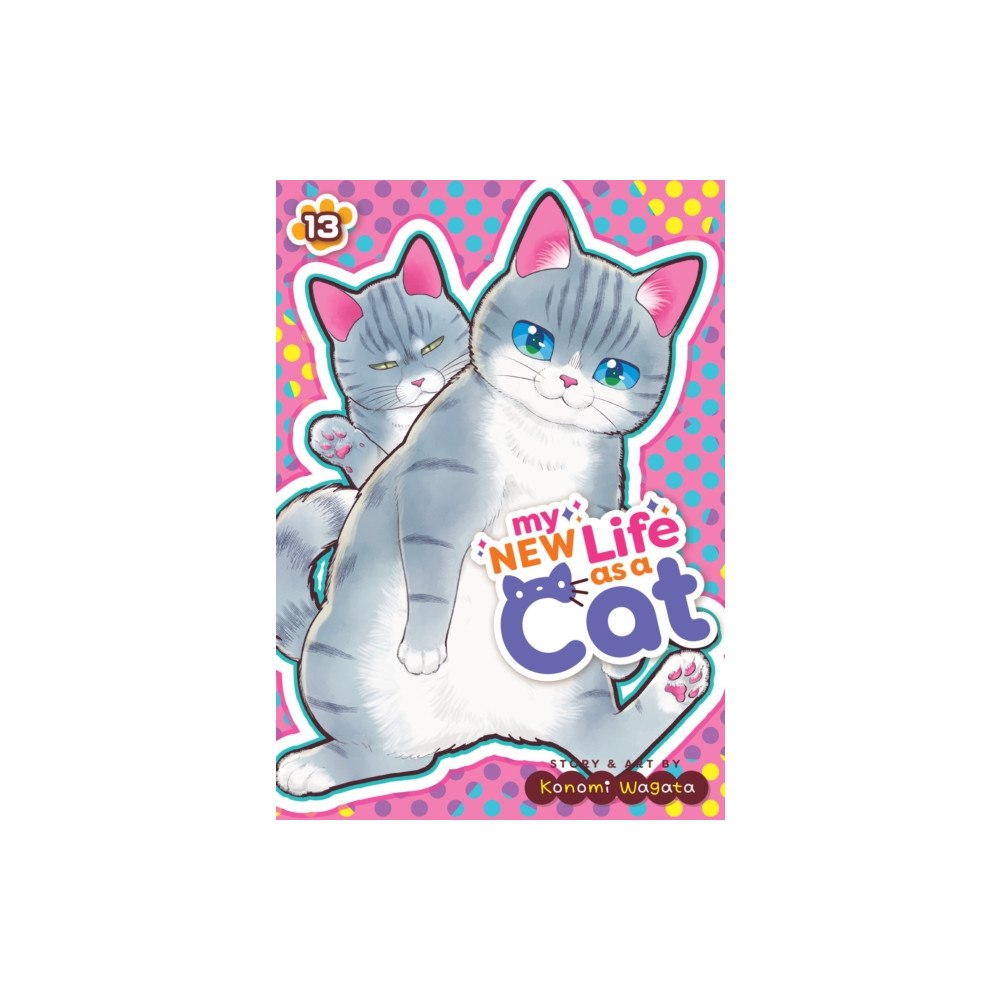 Seven Seas Entertainment, LLC My New Life as a Cat Vol. 13 (häftad, eng)