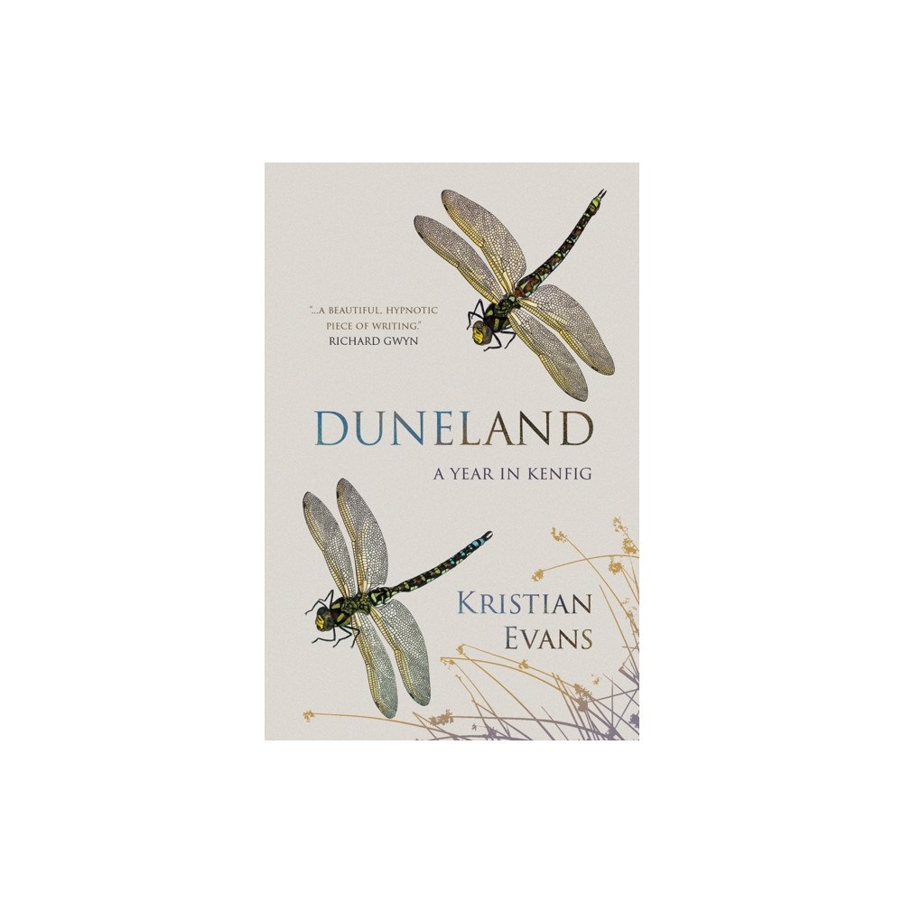 Poetry Wales Press Duneland (häftad, eng)