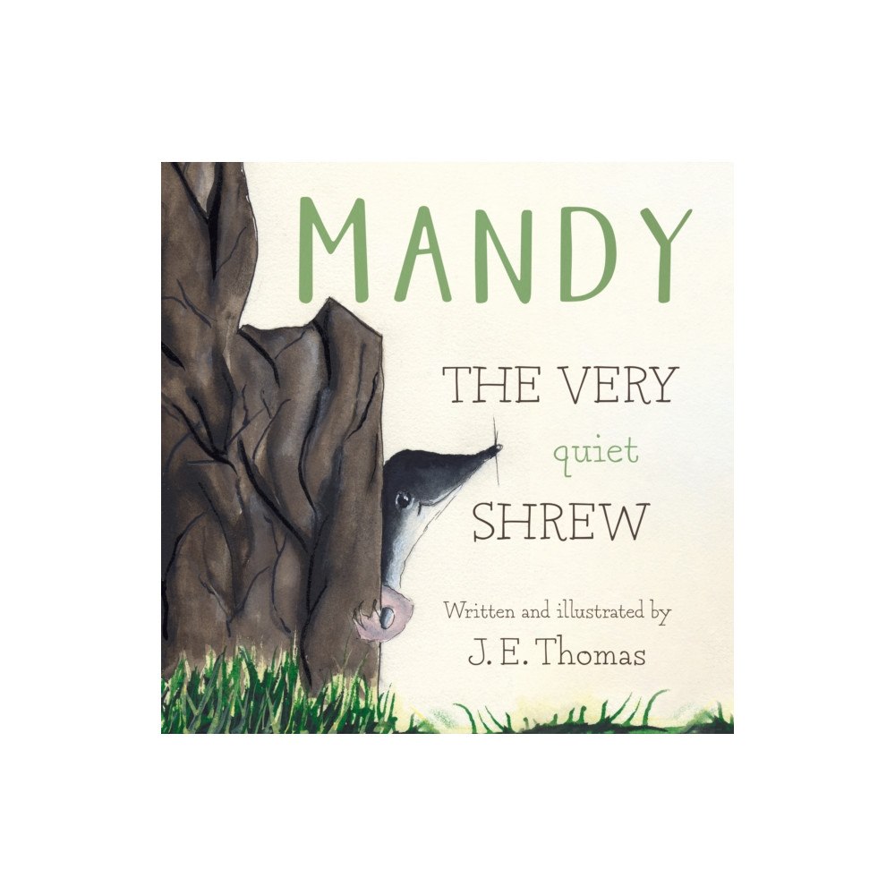 Troubador Publishing MANDY (häftad, eng)