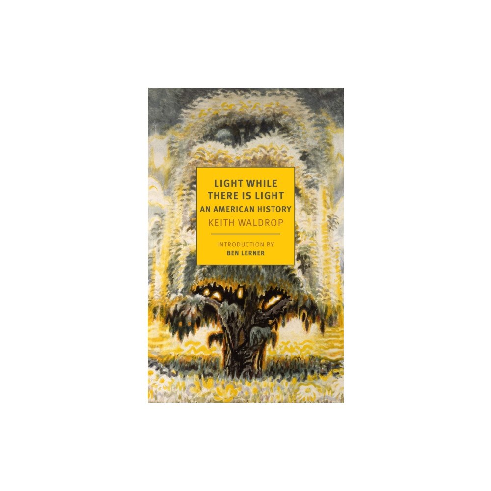 New York Review Books Light While There is Light (häftad, eng)