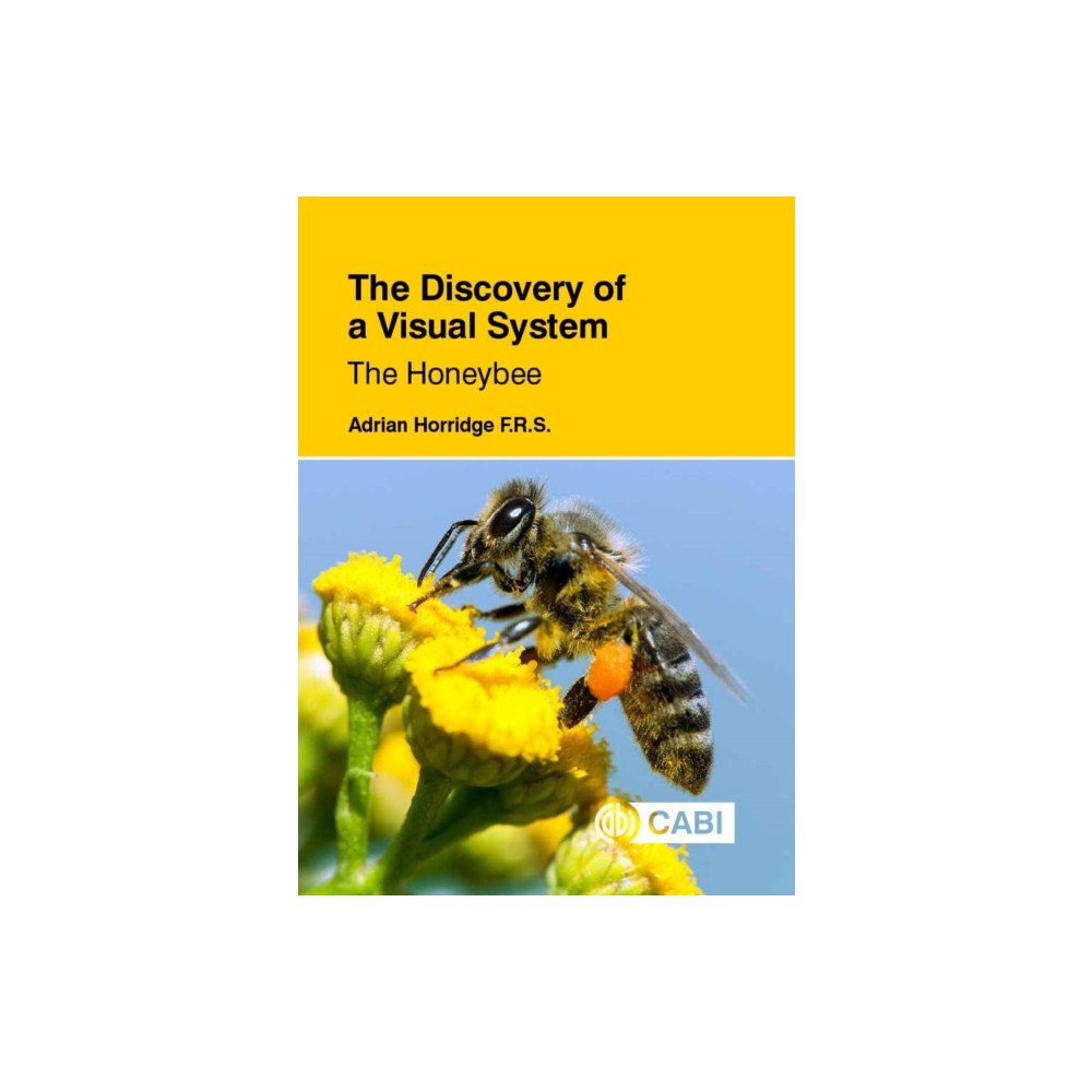 CABI Publishing The Discovery of a Visual System: The Honeybee (häftad, eng)