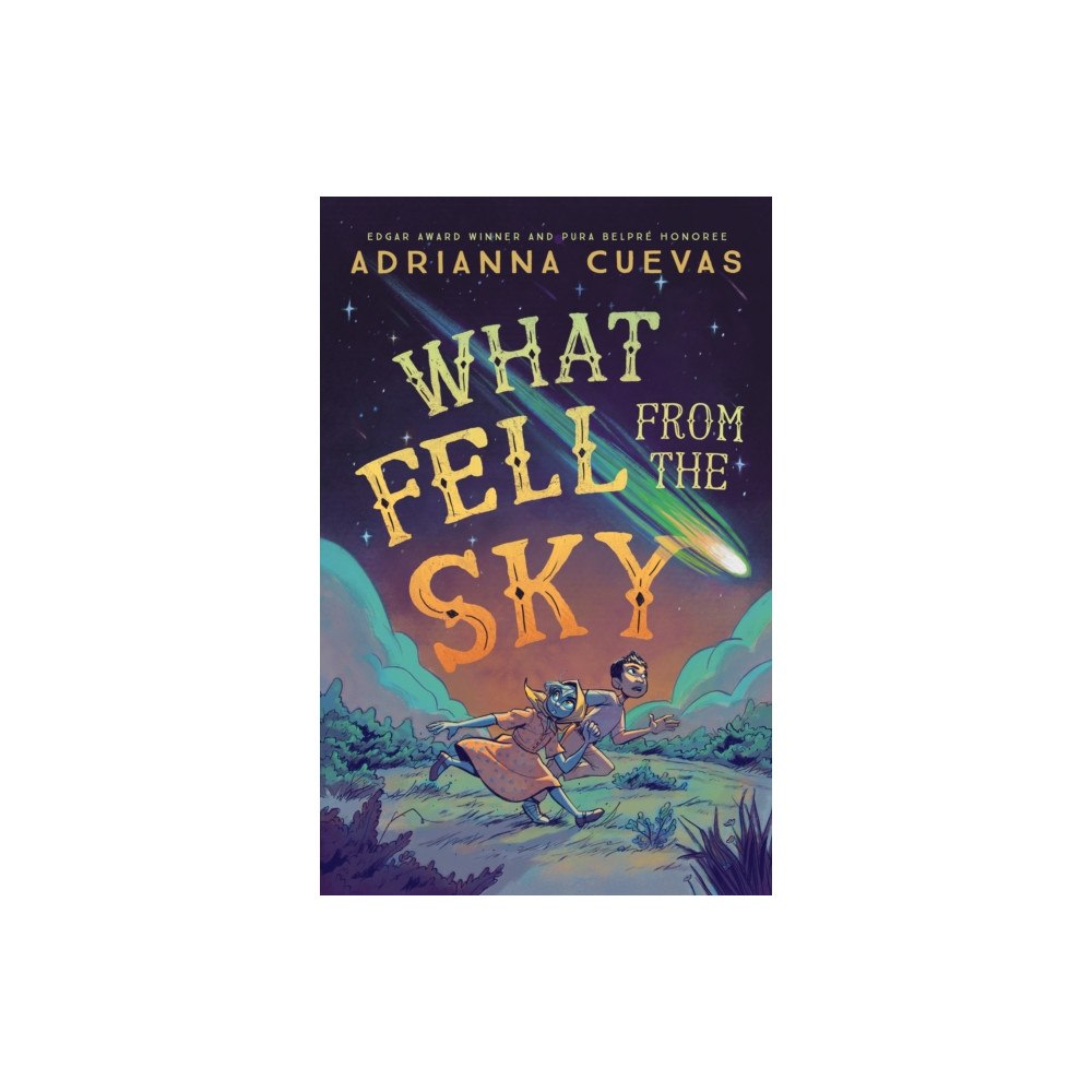 Palgrave USA What Fell from the Sky (häftad, eng)