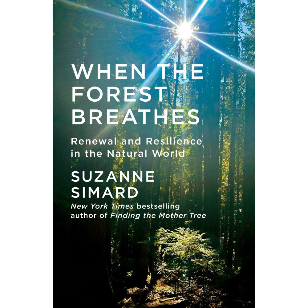 Suzanne Simard When the Forest Breathes (häftad, eng)