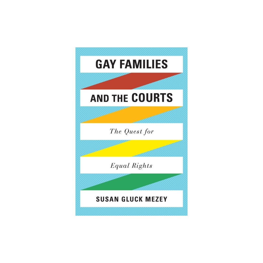 Bloomsbury Publishing PLC Gay Families and the Courts (häftad, eng)