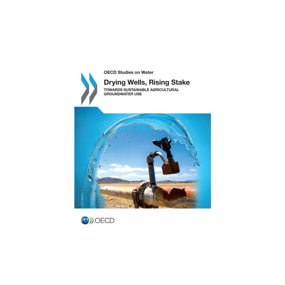 IWA Publishing Drying Wells, Rising Stakes – Towards Sustainable Agricultural Groundwater Use (häftad, eng)