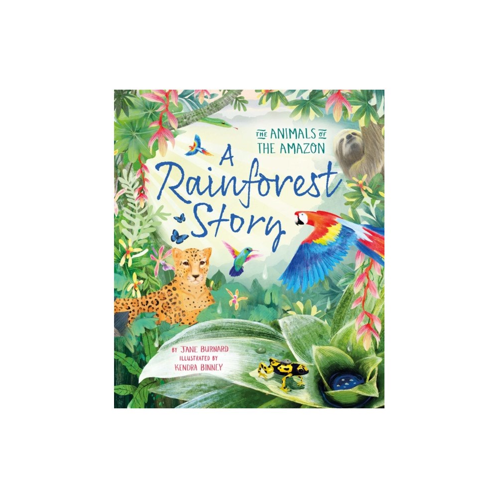 Pan Macmillan A Rainforest Story (häftad, eng)