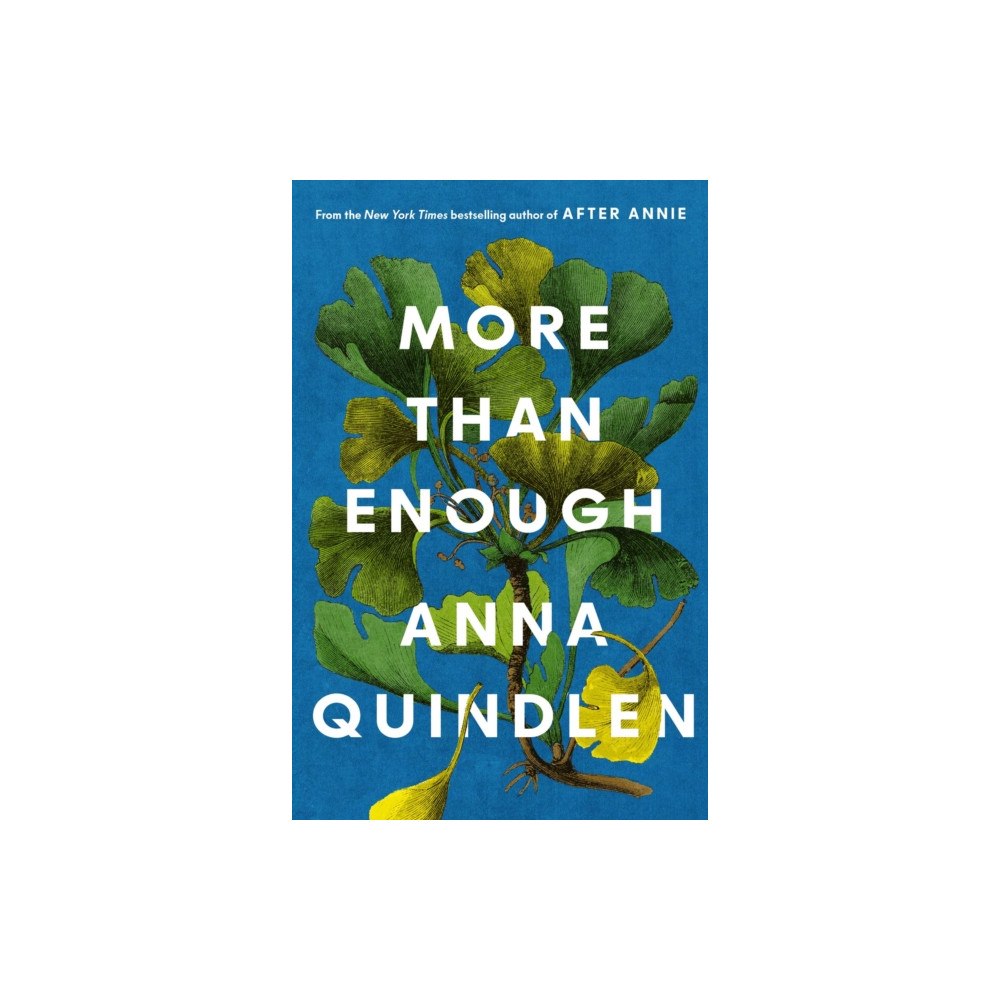 Simon & Schuster Ltd More Than Enough (inbunden, eng)