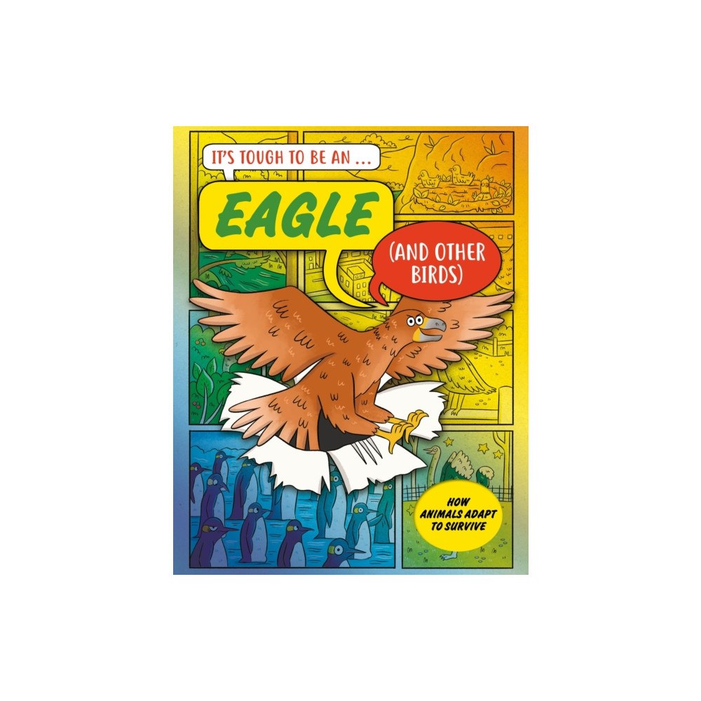 Hachette Children's Group It’s Tough to Be: An Eagle (and Other Birds) (inbunden, eng)