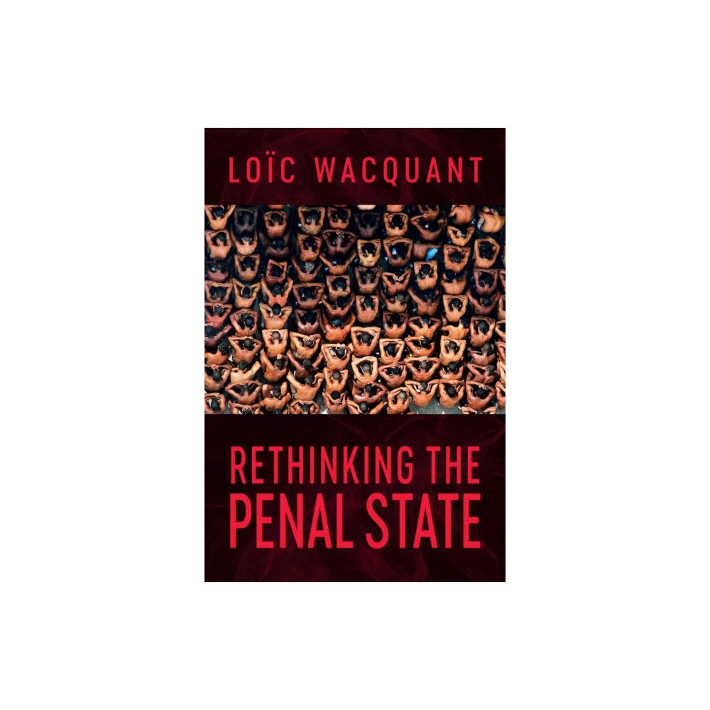 Polity Press Rethinking the Penal State (häftad, eng)